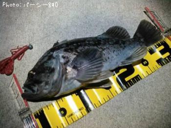 クロソイ