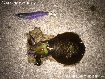 ꥤ