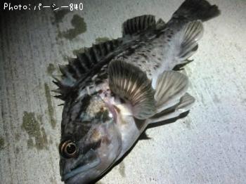 クロソイ