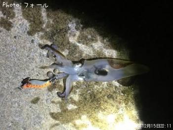 ヒイカ