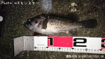 クロソイ