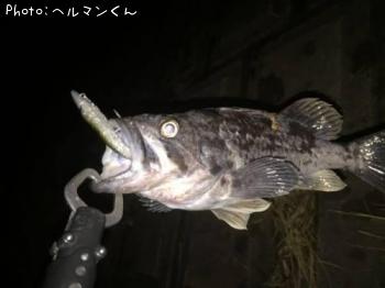 クロソイ