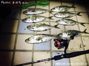 アジ
