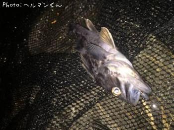 クロソイ