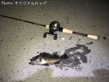 クロソイ