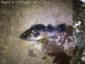 クロソイ