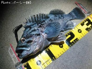 クロソイ
