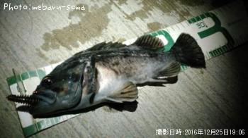 クロソイ