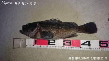 クロソイ