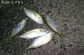 アジ