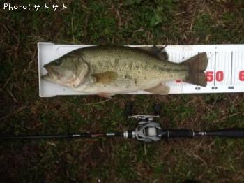ブラックバス