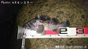 クロソイ