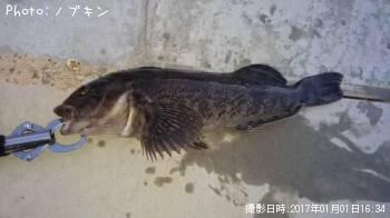 ʥ
