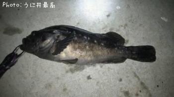 クロソイ