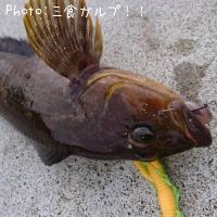 ʥ