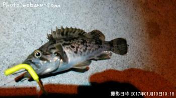 クロソイ