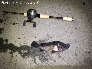 クロソイ