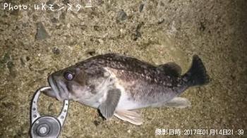 クロソイ