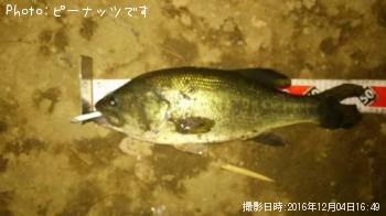 ¥Ö¥é¥Ã¥¯¥Ð¥¹