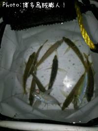 アジ