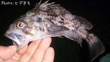 クロソイ