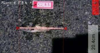 クロソイ