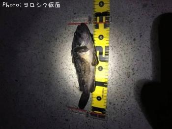 クロソイ