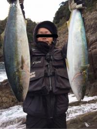 ハマチ