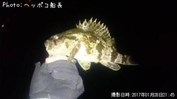 タケノコメバル