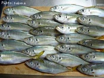 アジ