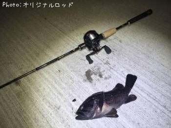 クロソイ