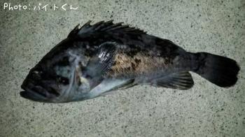 クロソイ