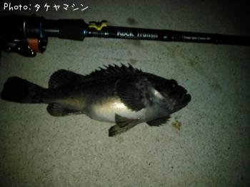 クロソイ