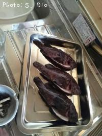 饽