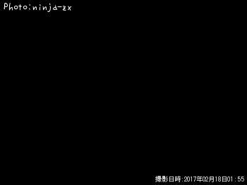 タチウオ