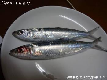 ޥȥߥڥޥȥߥ