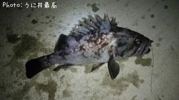 クロソイ