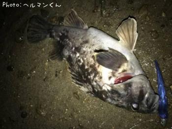 クロソイ