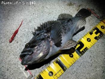 クロソイ