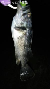 クロソイ