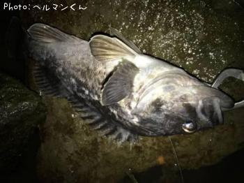 クロソイ