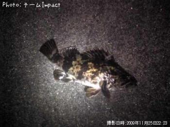 ΥХ