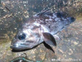 クロソイ