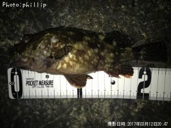 カサゴ