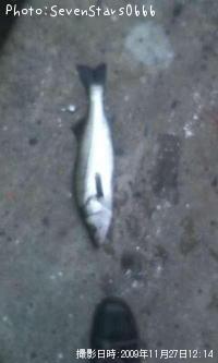 Х