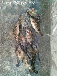 ΥХ롢
