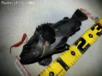 クロソイ