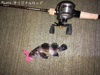 マゾイ