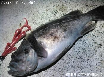 クロソイ