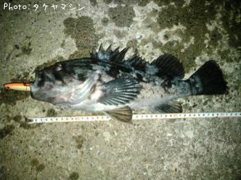 クロソイ